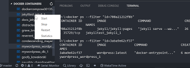 docker explorer