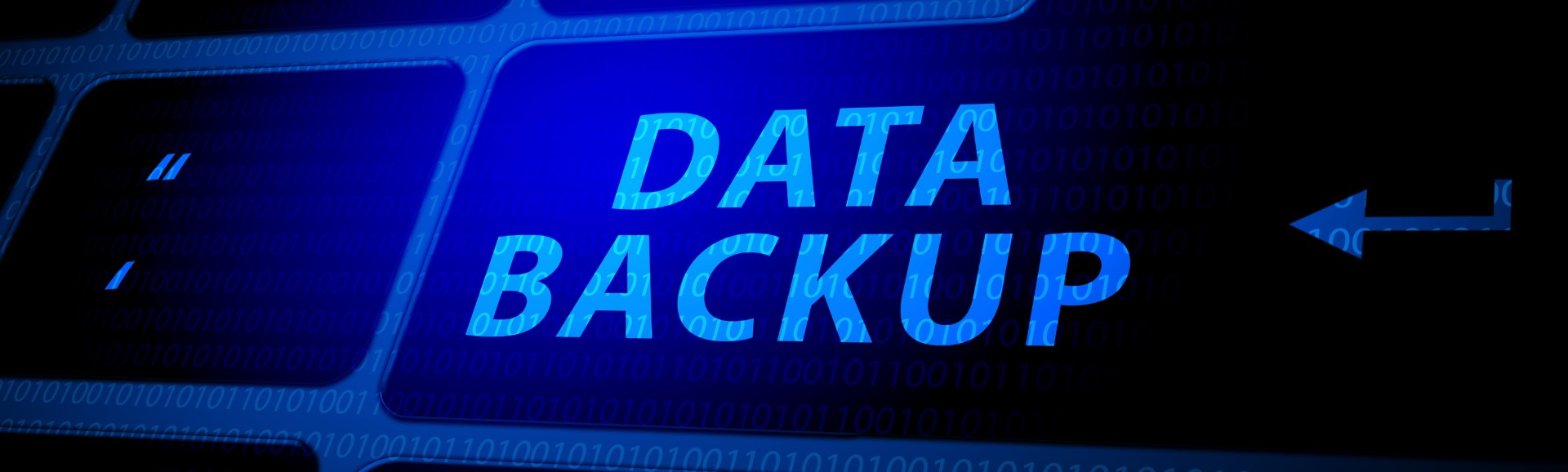 Data Backup