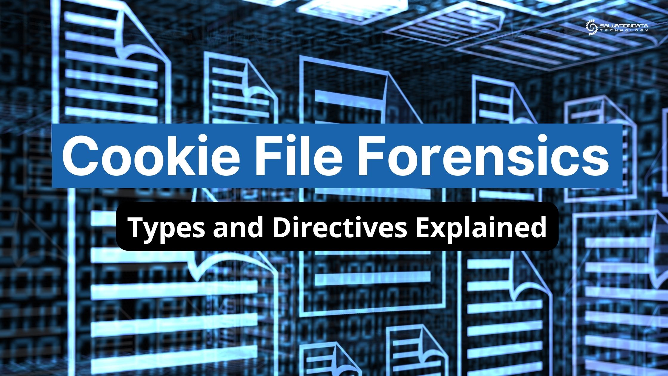 Cookie File Forensics: Types and Directives Explained