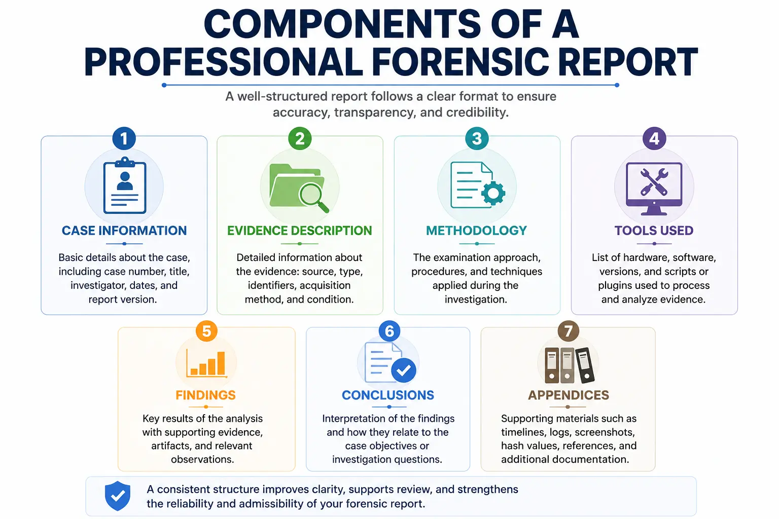 Write a Forensic Report Step by Step [Examples Inside]