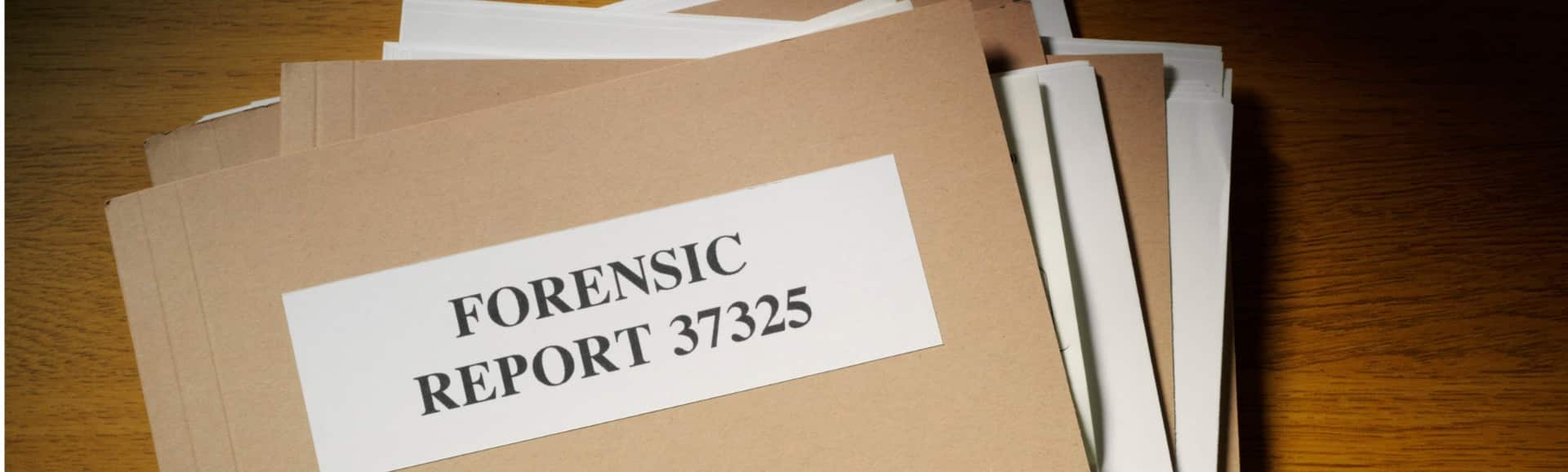 Digital Forensic Report Template