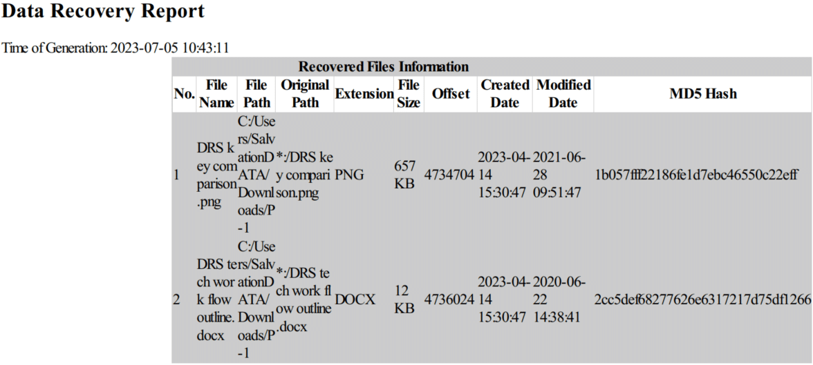 data-recovery-report1