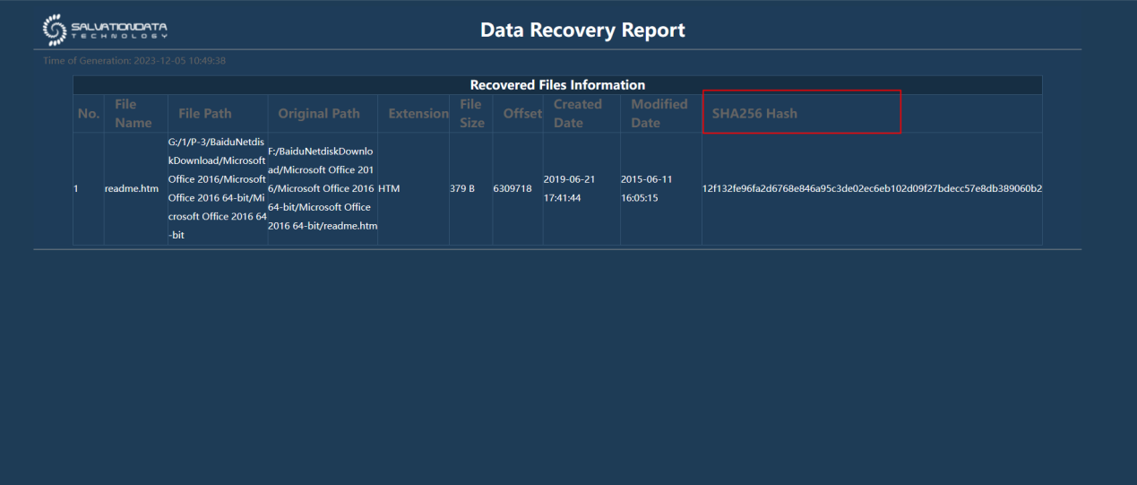 data-recovery-report