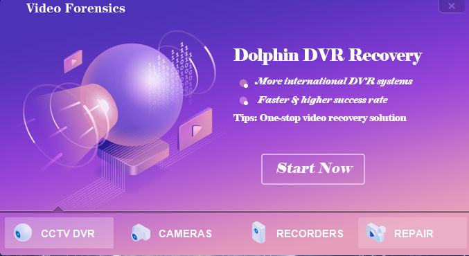 dolphin-dvr-recovery