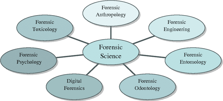 applications-in-forensic-investigation