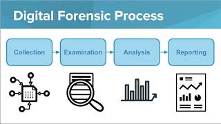digital-forensics-process