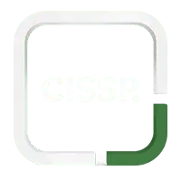 Professional CISSP Certification